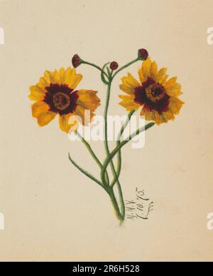 (Sans titre). Date: 1875. Aquarelle sur papier. Musée: Smithsonian American Art Museum. Banque D'Images