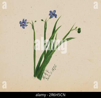 (Sans titre). Date: 1875. Aquarelle sur papier. Musée: Smithsonian American Art Museum. Banque D'Images