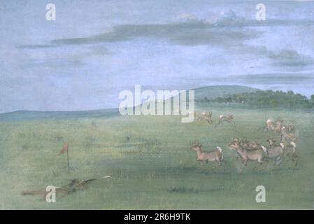 Prise de vue antilope, Decoyed Up. huile sur toile. Date: 1832-1833. Musée: Smithsonian American Art Museum. Banque D'Images