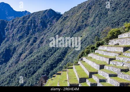 Terrasses agricoles, ruines incas du Machu Picchu, Pérou, Amérique du Sud Banque D'Images