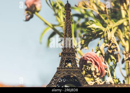 France, Paris. La Tour Eiffel de 1 mai 2022 parmi les fleurs roses florales de Ranunculus au printemps. En voyage, visitez les sites des capitales de l'UE Banque D'Images