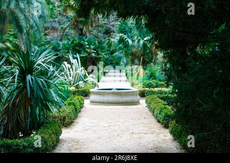 Chemin de chemin droit va dans une distance dans la végétation luxuriante de la jungle verte fraîche, des branches de palmiers, buissons jardin tropical paysage. Natu exotique Banque D'Images