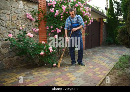 Portrait d'un jardinier mâle en uniforme de jardinage bleu, balayant la cour avec un balai Banque D'Images