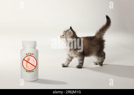 Travail à distance. Chaton moelleux et flacon médical avec des médicaments anthelmintiques sur fond blanc Banque D'Images