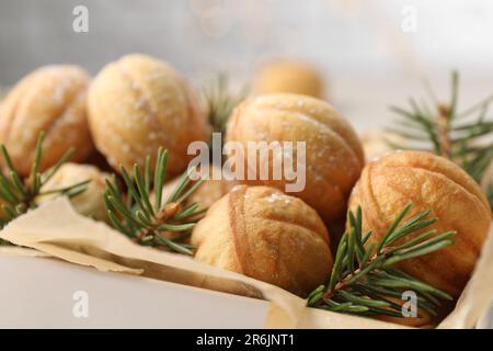 Biscuits faits maison en forme de noyer et branches de sapin dans une boîte, gros plan Banque D'Images