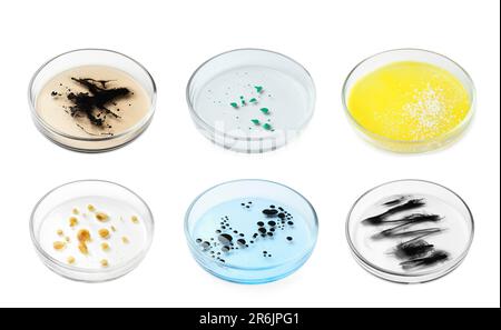 Jeu de boîtes de Petri avec différentes cultures bactériennes sur fond blanc Banque D'Images