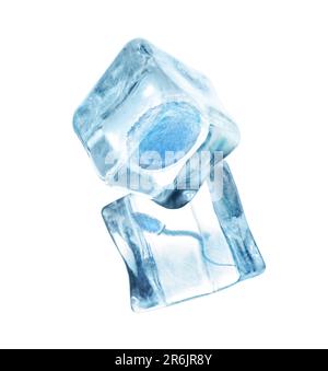 Cryoconservation du matériel génétique. Ovule et spermatozoïdes dans des cubes de glace sur fond blanc Banque D'Images