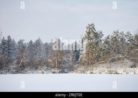 Cette photo montre un paysage d'hiver à couper le souffle avec une plaine plate et enneigée au premier plan, avec des arbres enneigés au bord d'une verglace Banque D'Images