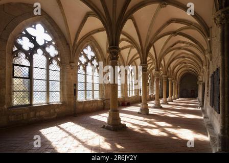 Cloître dans l'abbaye cistercienne impériale de Walkenried, Walkenried, Harz, Basse-Saxe, Allemagne, Europe Banque D'Images