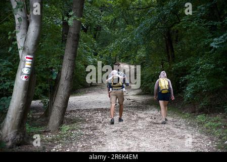 Couple avec bébé entrant dans une forêt Banque D'Images