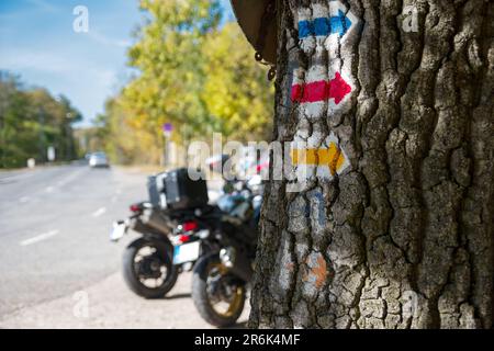 Arbre avec pointeurs de sentier de randonnée, motos Banque D'Images