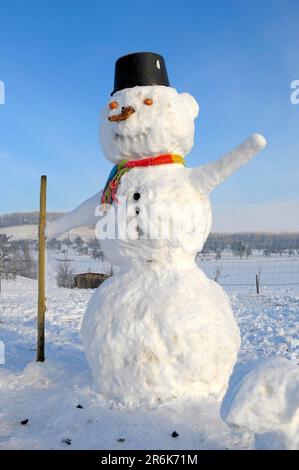 Snowman famille avec figurines animales, paysage d'hiver Snowman famille avec figurines animales, paysage d'hiver Banque D'Images