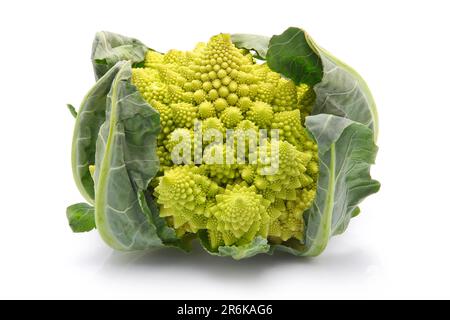 Chou brocoli Romanesco Chou-fleur (ou romain) isolé sur fond blanc Banque D'Images