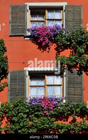 Maison et jardin de cottage avec vivaces Banque D'Images