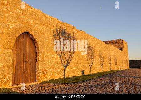 Ombre d'arbre sur le mur, Castelo de Ourem, Ourem, district de Santarem, Portugal Banque D'Images