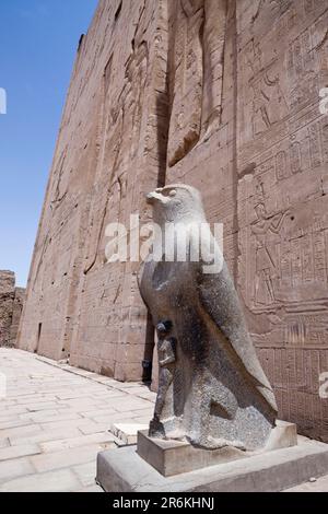 Statue d'Horus devant le temple d'Horus, Edfu, Idfu, temple d'Horus, faucon d'Horus, Égypte Banque D'Images