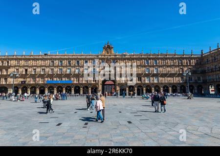 Plaza Mayor, Salamanque, site classé au patrimoine mondial de l'UNESCO, Castille et Leon, Espagne, Europe Banque D'Images