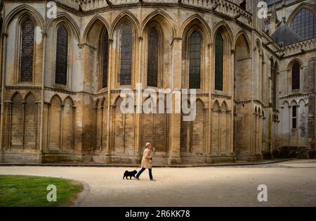 Bayeux Cathédrale de Bayeux Normandie France juin 2023 Cathédrale de Bayeux, également connue sous le nom de Cathédrale notre-Dame de Bayeux (Cathédrale notre-Dame de Ba) Banque D'Images