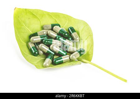 Une seule feuille verte repose sur une surface blanche, avec trois différents types de capsules de médicaments dispersés au-dessus Banque D'Images