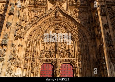 Cathédrale de Salamanque, Salamanque, site classé au patrimoine mondial de l'UNESCO, Castille et Leon, Espagne, Europe Banque D'Images