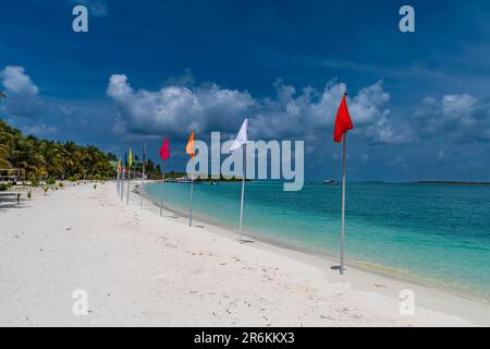 Plage de sable blanc avec de nombreux drapeaux, île de Bangaram, archipel de Lakshadweep, territoire de l'Union de l'Inde, Océan Indien, Asie Banque D'Images