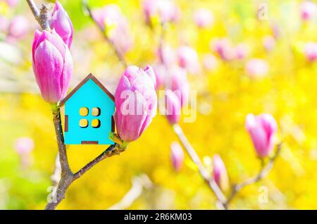 Modèle miniature de maison bleue niché parmi les fleurs roses magnolia dans un jardin magique. Arrière dynamique de printemps et de décoration de maison Banque D'Images