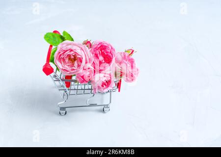 Petit bouquet de roses de thé dans un chariot de poussée miniature isolé sur un fond en béton avec espace de copie. Concept floral créatif. Banque D'Images