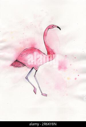 Dessin aquarelle dans le style de flamants roses naïfs sur une jambe Banque D'Images