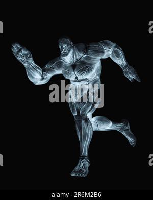 les cartes de muscle de bodybuilder fonctionnent sur fond blanc, illustration 3d Banque D'Images