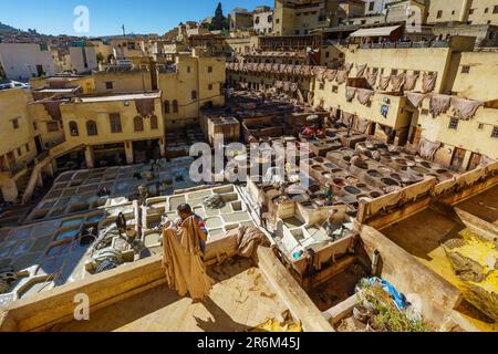 Maroc. Fez. La tannerie Chouara est la plus grande des quatre tanneries traditionnelles encore présentes au coeur de la médina de Fès el-Bali. Banque D'Images