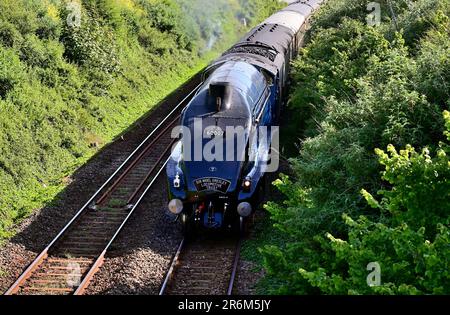 LNER classe A4 Pacifique No 60007 Sir Nigel Gresley quitte Paignton avec le tronçon de retour de l'English Riviera Express le 3rd juin 2023. Banque D'Images