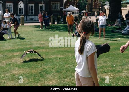 Londres, le 10th juin 2023. Les gens sont vus en profitant de la vague de chaleur et de la journée portes ouvertes du jardin à Lincoln's Inn, en utilisant la zone d'herbe centrale pour un spectacle d'oiseaux, ou en explorant le domaine de l'auberge. Banque D'Images