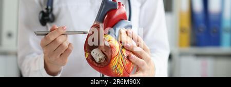 Le cardiologue montre la structure et l'anatomie du cœur humain Banque D'Images