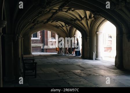 Londres, le 10th juin 2023. Les gens sont vus en profitant de la vague de chaleur et de la journée portes ouvertes du jardin à Lincoln's Inn, en utilisant la zone d'herbe centrale pour un spectacle d'oiseaux, ou en explorant le domaine de l'auberge. Banque D'Images