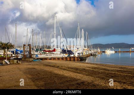 Plage et port de Sausalito ville de la baie de San Francisco dans le comté de Marin, dans l'État de Californie. Plage et jetée du Golden Gate. Banque D'Images