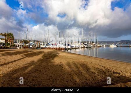 Photographie de la plage et du port maritime de Sausalito une ville de la baie de San Francisco dans le comté de Marin dans l'état de Californie. Plage et jetée. Banque D'Images