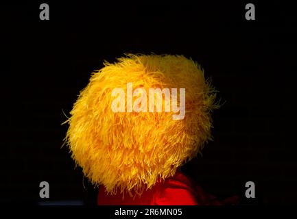 Elmont, États-Unis. 10th juin 2023. Les fans de course portent des chapeaux décoratifs lors de la course de 155th des piquets Belmont à Elmont, New York, samedi, 10 juin 2023. Photo de John Angelillo/UPI crédit: UPI/Alay Live News Banque D'Images