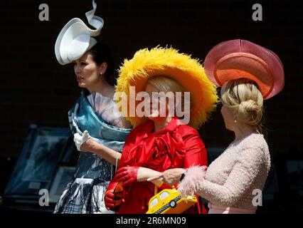 Elmont, États-Unis. 10th juin 2023. Les fans de course portent des chapeaux décoratifs lors de la course de 155th des piquets Belmont à Elmont, New York, samedi, 10 juin 2023. Photo de John Angelillo/UPI crédit: UPI/Alay Live News Banque D'Images