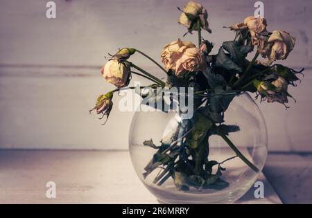 Bouquet de roses altérées dans la lumière et l'ombre. Petites roses sèches dans un vase. Fleurs blanches de gros plan. Concept de flétrissement. Concept de joint. Concept d'amour triste. Banque D'Images