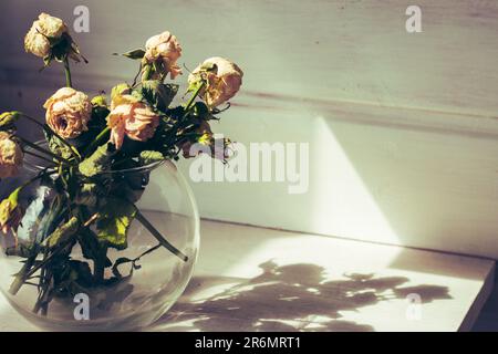 Bouquet de roses altérées dans la lumière et l'ombre. Petites roses sèches dans un vase. Fleurs blanches de gros plan. Concept de flétrissement. Concept de joint. Concept d'amour triste. Banque D'Images