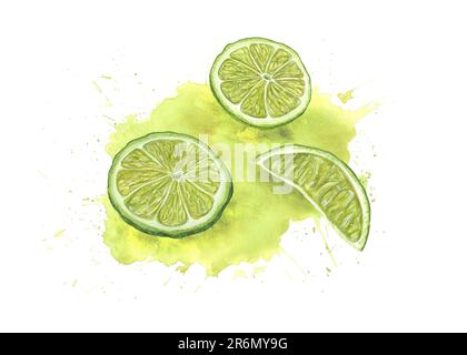 Tranches de lime fraîche d'aquarelle dans des jus isolés sur fond blanc. Illustration botanique pour menu, cocktail, prospectus, affiches Banque D'Images