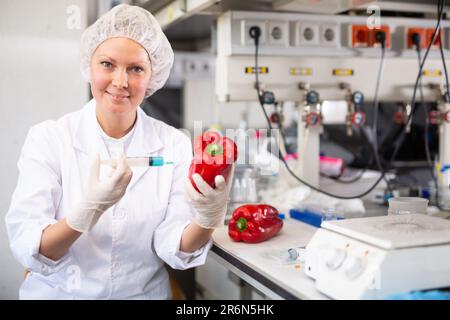 La biologiste adulte injecte un poivron rouge avec une seringue Banque D'Images