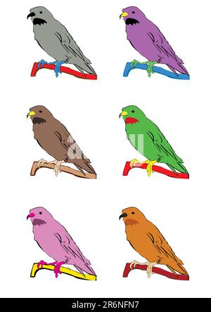 Illustration vectorielle d'un canari dans 6 jeux de couleurs différents Illustration de Vecteur