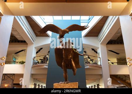 La sculpture de l’artiste Lincoln Fox « Dream of Flight » à Albuquerque International Sunport à Albuquerque, Nouveau-Mexique. Banque D'Images