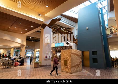 La sculpture « Dream of Flight » de l'artiste Lincoln Fox accueille les passagers au Sunport international d'Albuquerque, Nouveau-Mexique. Banque D'Images