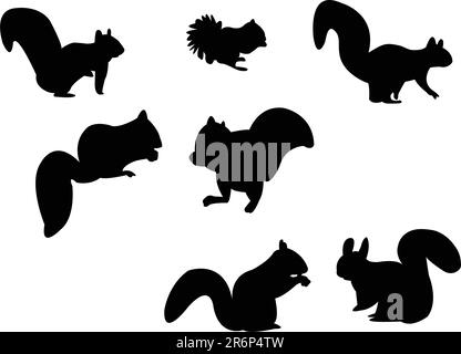 silhouette écureuil - vecteur Illustration de Vecteur