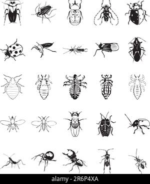 Vingt illustrations de clipart vecteur lisse de divers insectes Illustration de Vecteur