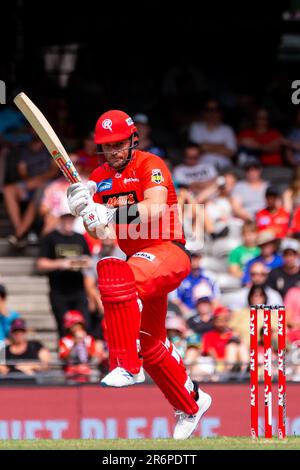 MELBOURNE, AUSTRALIE - 27 JANVIER : Aaron Finch de Melbourne Renegades chauves-souris lors du match de cricket de la Big Bash League entre Melbourne Renegades et Brisbane Heat au stade Marvel sur 27 janvier 2020 à Melbourne, en Australie. Banque D'Images