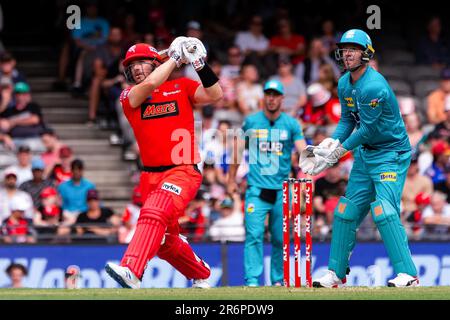 MELBOURNE, AUSTRALIE - 27 JANVIER : Aaron Finch de Melbourne Renegades chauves-souris lors du match de cricket de la Big Bash League entre Melbourne Renegades et Brisbane Heat au stade Marvel sur 27 janvier 2020 à Melbourne, en Australie. Banque D'Images