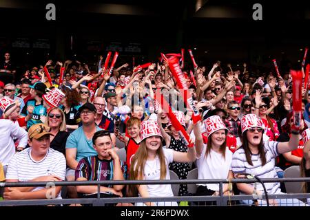 MELBOURNE, AUSTRALIE - 27 JANVIER : les fans de cricket lors du match de cricket de la Big Bash League entre les Renegades de Melbourne et Brisbane chauffent au stade Marvel sur 27 janvier 2020 à Melbourne, en Australie. Banque D'Images